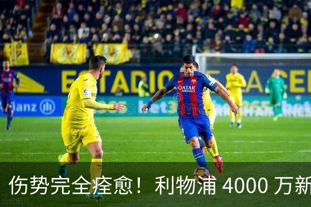 伤势完全痊愈！利物浦 4000 万新援迎世界杯首秀，西班牙边路解燃眉之急